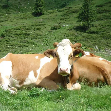 Gasthuis Haus Groder 3*