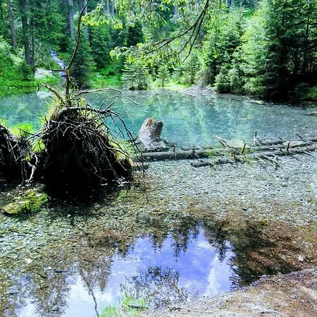 Haus Groder 3* Rauris